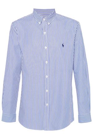 Blue and white Polo Pony striped cotton shirt RALPH LAUREN | 710928254008BLUEWHITE